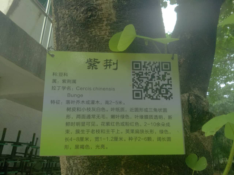 欧洲杯竞猜app