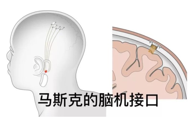 欧洲杯竞猜app